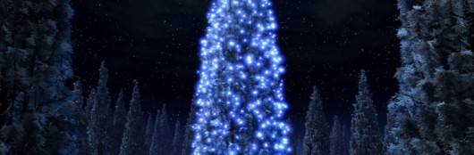 Aprovecha nuestra CAMPAÑA DE NAVIDAD!